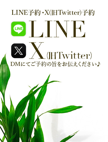 X(Twitter)\